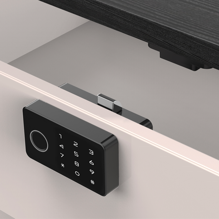 Cabinet & Furniture Locks