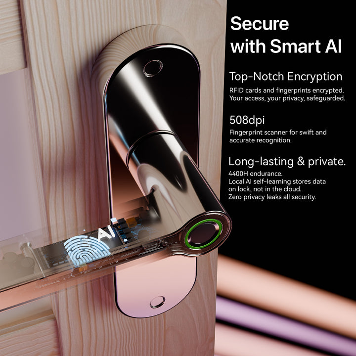 Internal Door Smart Locks