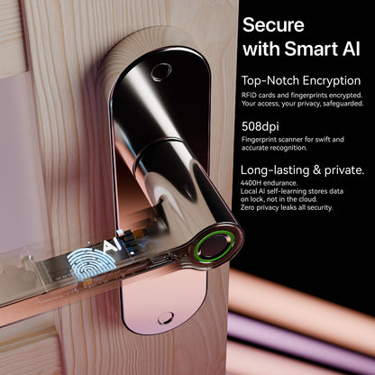 Blusafe Breeze Plus Internal Smart Door Handle — Fingerprint & App